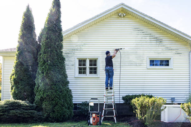 Best Building Exterior Washing  in Mountainhome, PA
